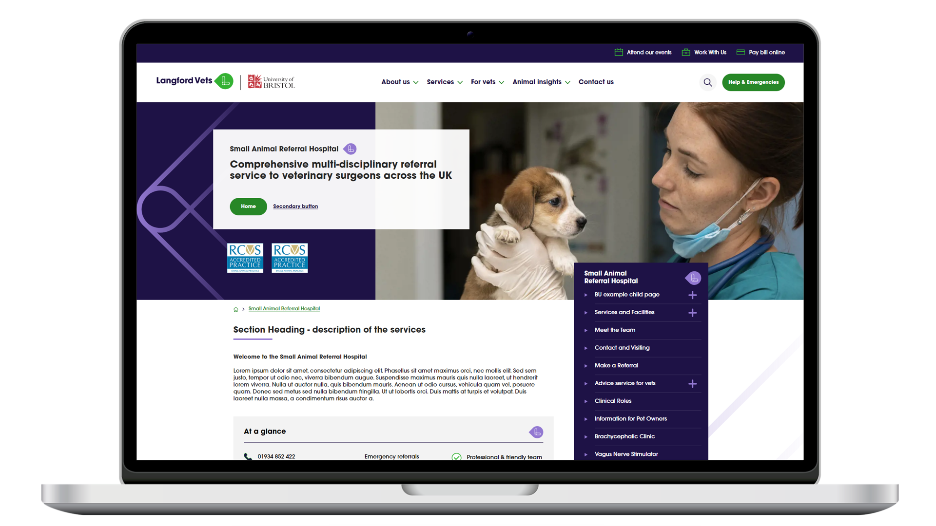 business unit landing page for veterinary practice