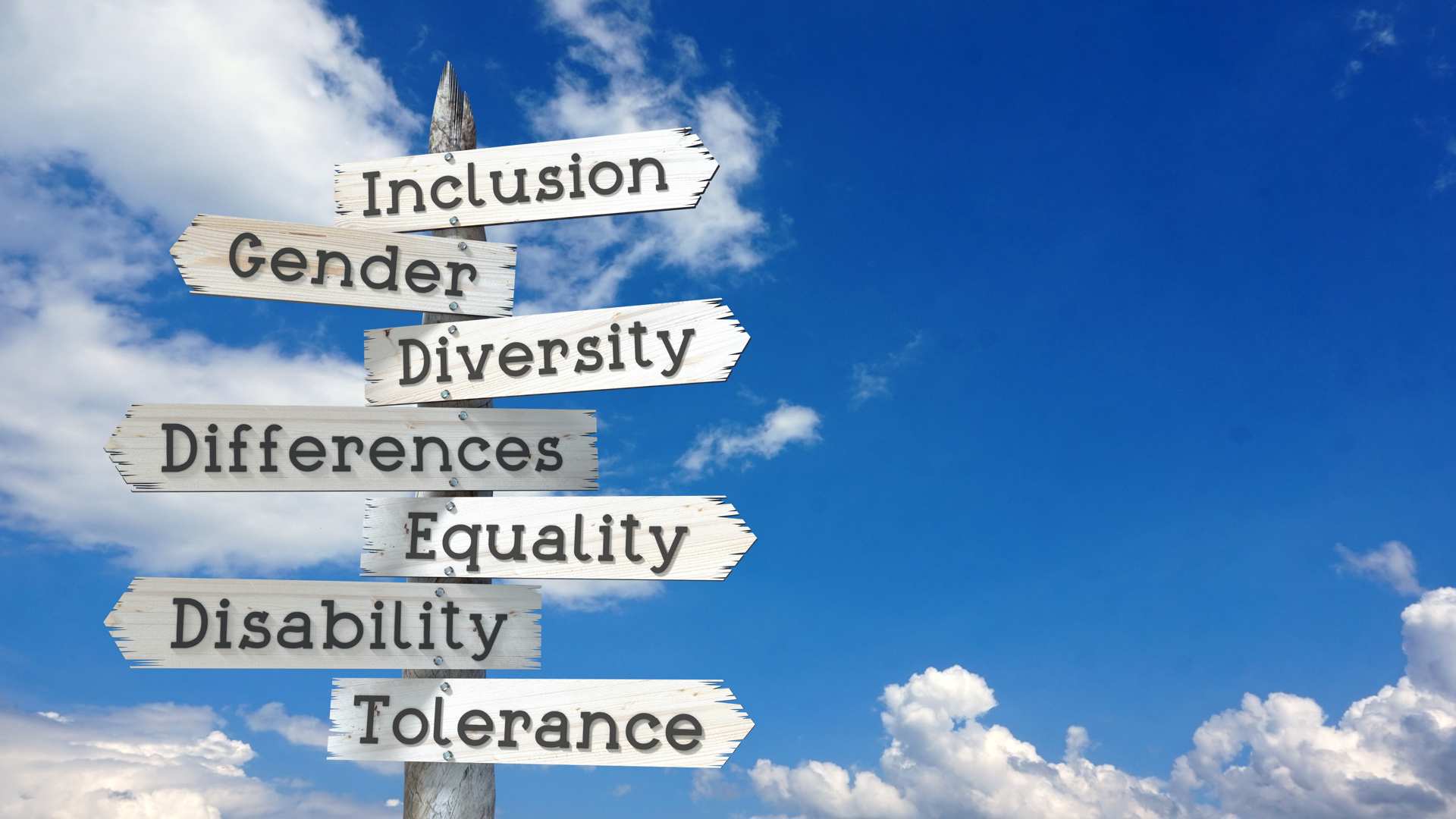 Multiple weathered wooden signposts pointing left or right are nailed to a post, reading from top to bottom: Inclusion, Gender, Diversity, Differences, Equality, Disability, Tolerance. In the background are fluffy white clouds on a bright blue sky.