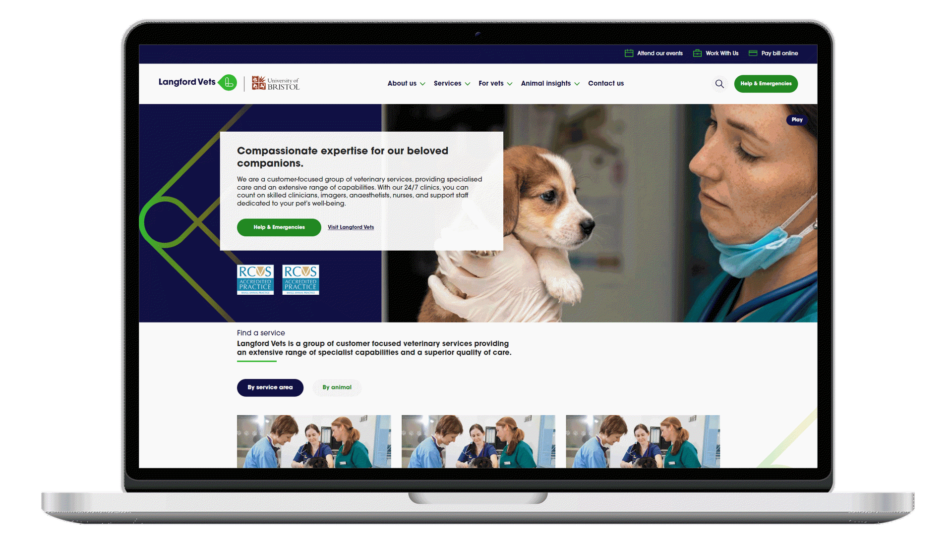 Laptop device showing changing pages of veterinary website